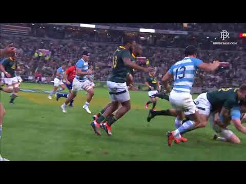 Springboks Rugby - "One Team, One Country"