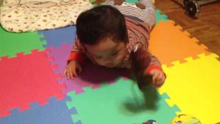 preview picture of video '7 Month Old Baby's Crawling - 生後7ヶ月ではいはい（ずりはい）'