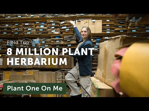 Go Inside One of the World's LARGEST HERBARIUMS — Ep. 355