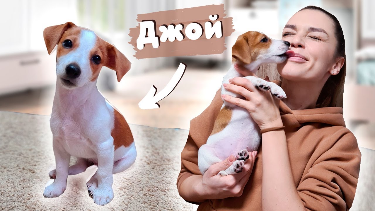 YouTube video preview