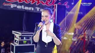 Download lagu CAMELIA MUSIC - OLD GUITAR - EVA AQUILA - WEDDING VIA & ILHAM - KECAPI TAHUNAN JEPARA mp3