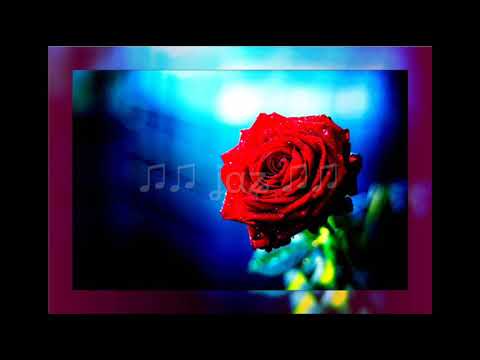How Long Has This Been Going On - Gloria Lynne