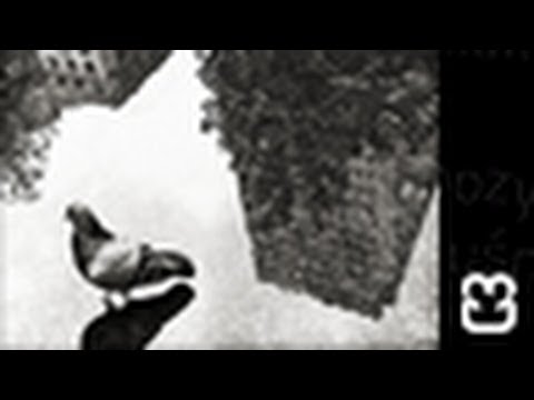 con3x-W_głębi(riddim_Płotek)