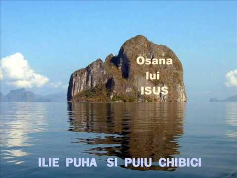 ILIE PUHA SI PUIU CHIBICI.................(  osana lui ISUS  )