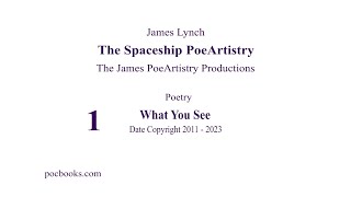 1 Spaceship PoeArtistry What You See