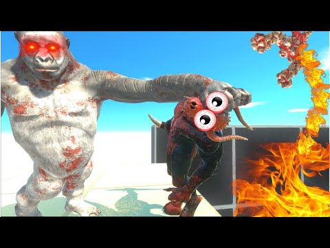 GORO KNOCKOUT THROWS UNITS INTO YOUR PIZZA OVEN  -  ARBS