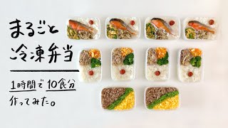 【1時間で10食分】食べる直前にチンするだけ、まるごと冷凍弁当作ってみた【時短&節約】