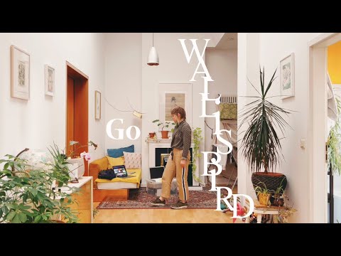 Wallis Bird - Go (Music Video)