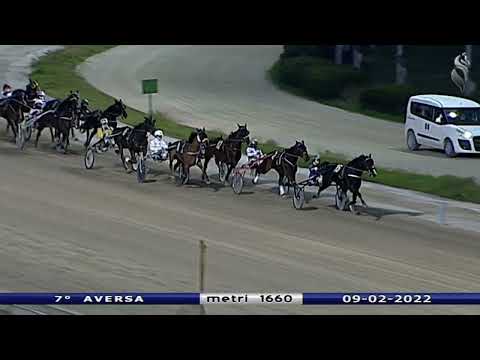 Aversa trotto 9 Febbraio 2022 - 7° Corsa
