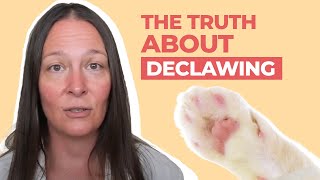 The Truth About Declawing Cats: What a Vet Wants You to Know