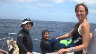 preview picture of video 'TURQUOISE HOTEL ROATAN HONDURAS BUCEO DIVING'