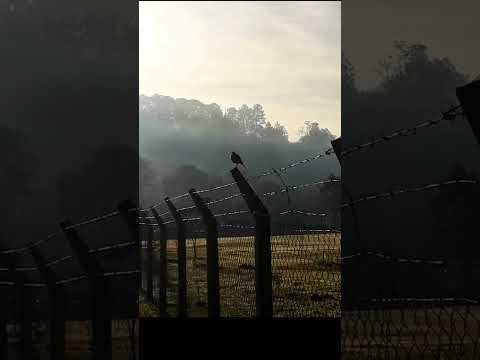 *Una mañana Misonera* #naturaleza #mañana #paisajes #fotografia #andrade #misiones #argentina