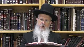 הגאון הרב אברהם יוסף שליט"א האם יולדת או חולה חייבים לצום בתענית י"ז בתמוז תשפ"ה (הרב אברהם יוסף) - התמונה מוצגת ישירות מתוך אתר האינטרנט יוטיוב. זכויות היוצרים בתמונה שייכות ליוצרה. קישור קרדיט למקור התוכן נמצא בתוך דף הסרטון