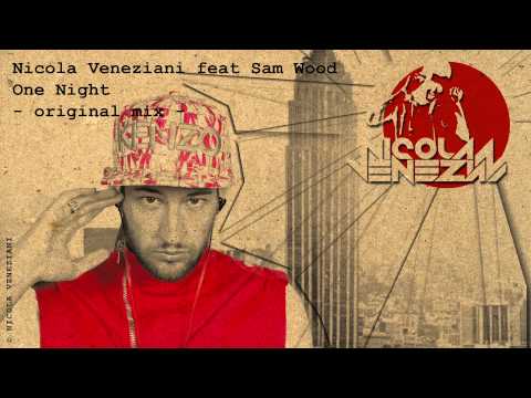 Nicola Veneziani feat Sam Wood -One Night- (original mix)