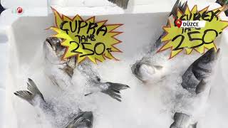 Palamut Gürcistan'a Kaçınca Tezgahlar Hamsiyle Doldu