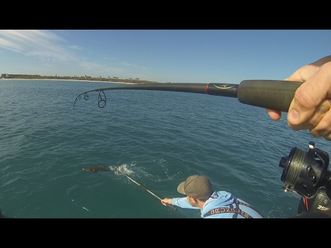 The Hook Came Out at the Last Second! (Sight Fishing for Cobia)