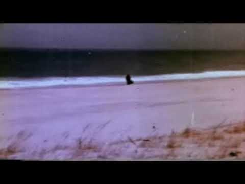 ₆⁶₆ 5l33p - GIBNEM ₆⁶₆