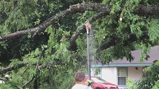 Trees down, traffic lights out in Bastrop Co. after overnight thunderstorms