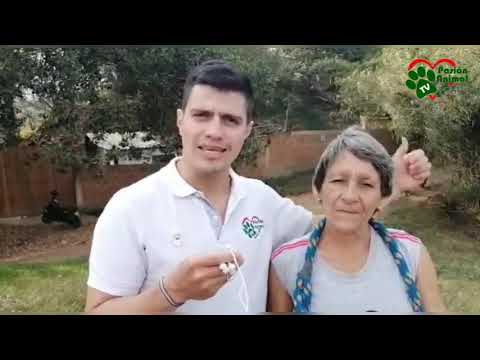 Refugio Canino San Lazaro Cali