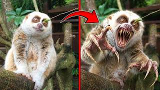 RUN If You See This Innocent-Looking Creature!