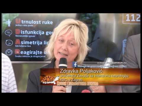 ČIZK 27.3.2019. - Zdravlje mozga