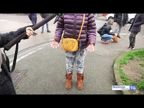 2021-02-10 PRATO - IMPAURITI DA CANI LIBERI, CITTADINI FIRMANO PETIZIONE