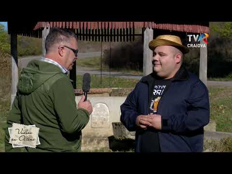 Vedere cu Olteni - Gogoșu, Fântânița