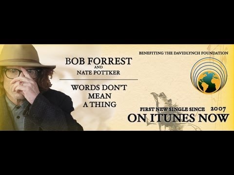 Bob Forrest & Nate Pottker "Words Don't Mean A Thing"