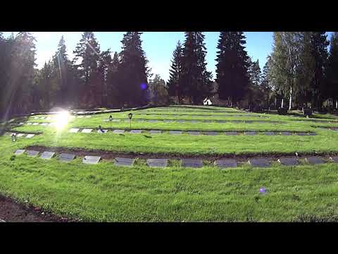 Pokloomi metsurista ja haaveillusta Lapin matkasta