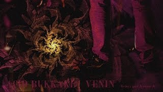 Acid Bukkake &quot;Venin&quot; remix 2013