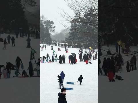Winter Storm Blankets Huge Swath of U.S. With Snow