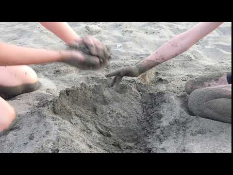 Nordsee Strand Nordstrand