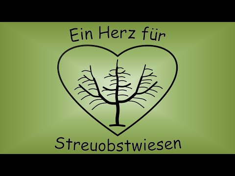 Naturgemäßer Obstbaumschnitt nach Oeschberg-Palmer Teil 2. Streuobstwiesen