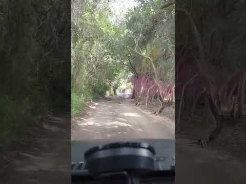 Por las calles de San Marcos Sierra(Cordoba)....Tuneles vegetales