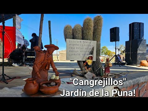 17° Feria de Intercambio de Reproductores Camelidos y Ovinos, en #Cangrejillos #puna #jujuy #argent