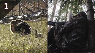 The Spring Turkey Season Kickoff with a Strut Show! (Hunt Cook Camp) | 2026 EP.01