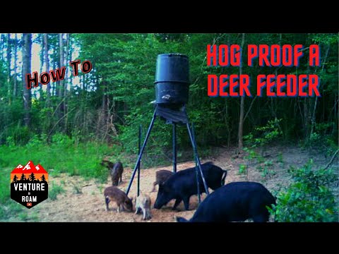 Hog Proof Deer Feeder