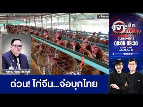 คลิกเพื่อดูคลิปวิดีโอ