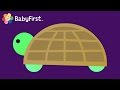 Turtle Learning Shapes For Toddlers Shape A Majigs BabyFirst TV