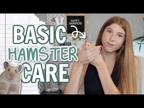 , title : 'Basic Hamster Care 🐹  2021'