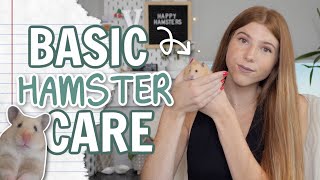 Basic Hamster Care 🐹