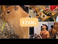 VLOG#77 | 宜蘭 Vlog | 健身 | 美食 | 出遊 | Lazy Bug