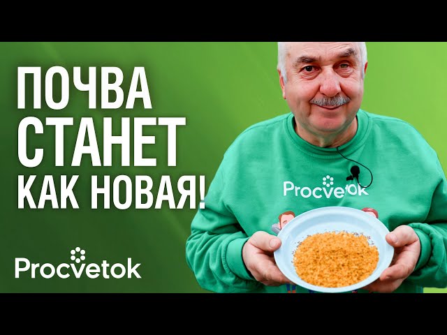100 Г НА МЕТР И ЗЕМЛЯ КАК НОВАЯ! Без болезней, вредителей, рыхлая и плодородная