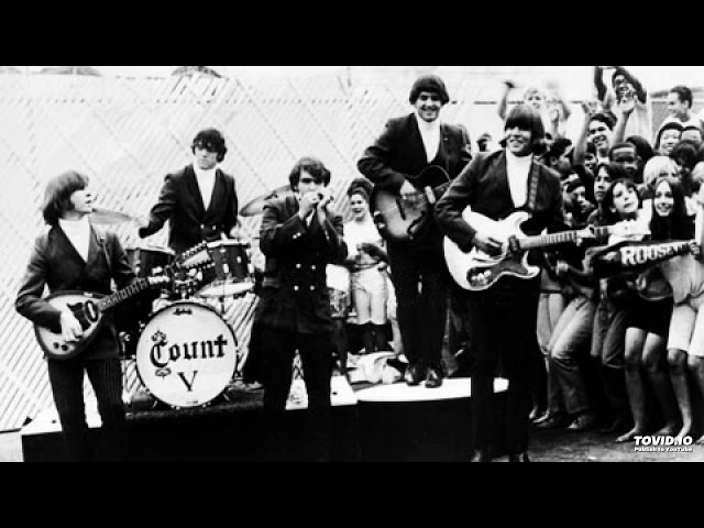 La carriera musicale e lo stile di Count Five: le migliori canzoni e i concerti più famosi