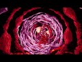 Blut aus Nord - Tales of the Old Dreamer Video