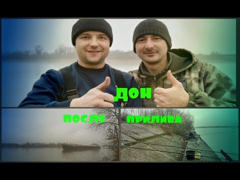 РЫБАЛКА НА ДОНУ ПОСЛЕ ПРИЛИВА ВОДЫ. АКСАЙ. ПЛИТЫ. ОСЕННИЙ ФИДЕР.