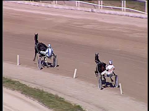 Trotto 22/03/2019 - prova di qualifica