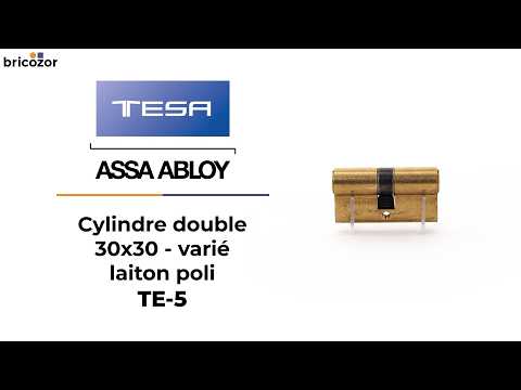 Cylindre double TE-5 varié - laiton poli - 5 goupilles - 3 clés TESA Sécurité