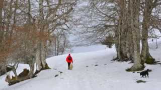 "Mark Knopfler-Before Gas And TV-Sierra de Aralar -Basque Country