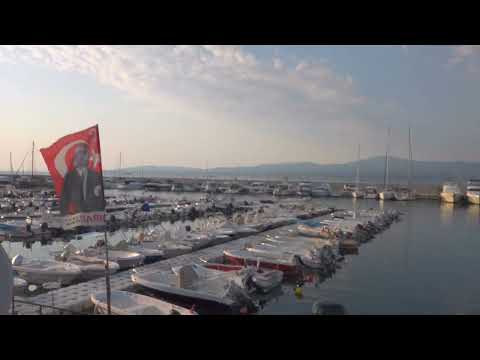 Sony Xperia 1 IV front camera Basic mode in my hand walking (4K 30 fps HDR on)